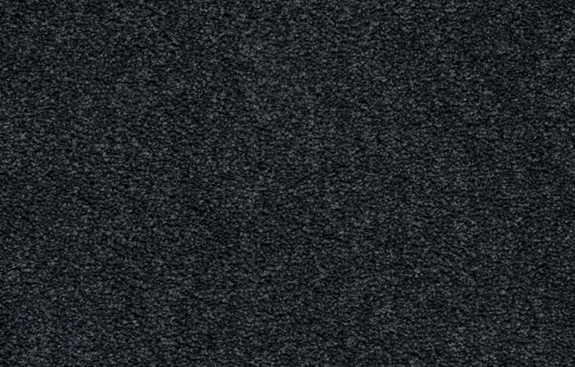 Radiant - Image 8